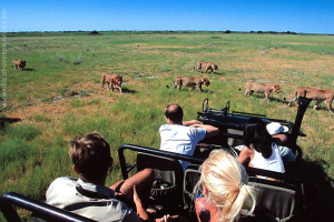 best-country-safari-1