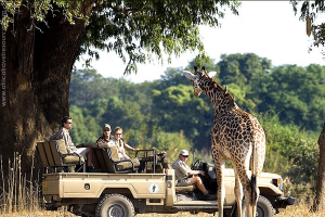 best-country-safari-5