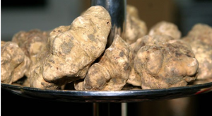 fooddelicacies_whitetruffles